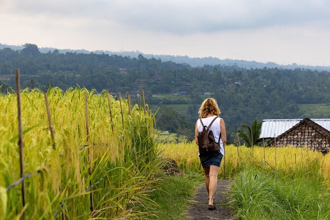 Tanah Lot, Jatiluwih Rice Terrace and Waterfall Day Tour - What the private vehicle adds