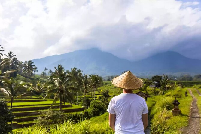Tanah Lot, Jatiluwih Rice Terrace and Waterfall Day Tour - Who will enjoy this day most?
