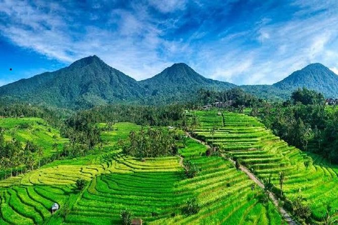Tanah Lot - Jatiluwih (UNESCO) - Beratan lake -Hidden hill (Wanagiri)-FREE WI-FI - Is $37.50 good value?