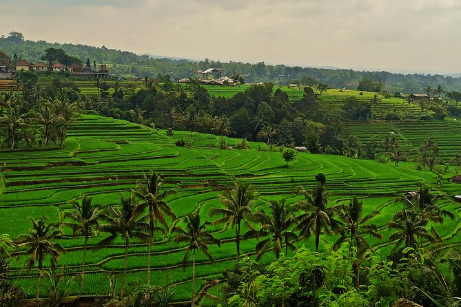 Tanah Lot Tour: Discover Bali’s Iconic Temple and Stunning Views - Is $75.65 a fair price?