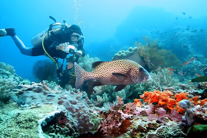 Tanjung Benoa Water Sports: All Inclusive Bali Activities - Parasailing, Jet Skis, and the Family Appeal