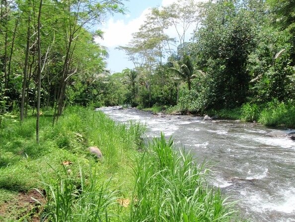 Telaga Waja River Rafting Bali & Zipline (Less Stairs) - Why Telaga Waja is a good rafting choice