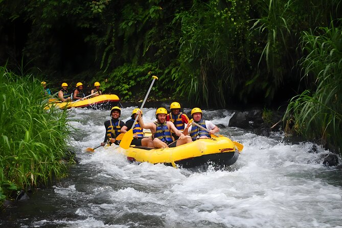 Telaga Waja White Water Rafting - With No Step or Stair : Bali Best Adventures - Who should book Telaga Waja rafting?