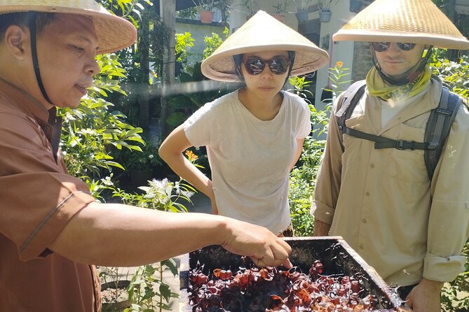 Temples and Bike Tours in the Village - Why the village ride is the best part for many people