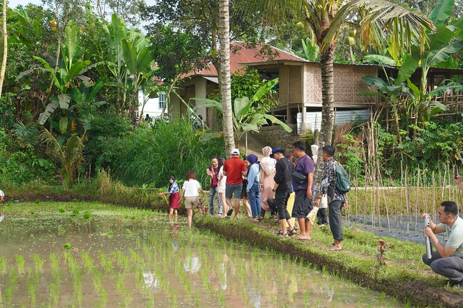 Tete Batu Tour (Culture, Rice Terraces and Waterfalls) - Coffee, coconut oil, and spices in a local home