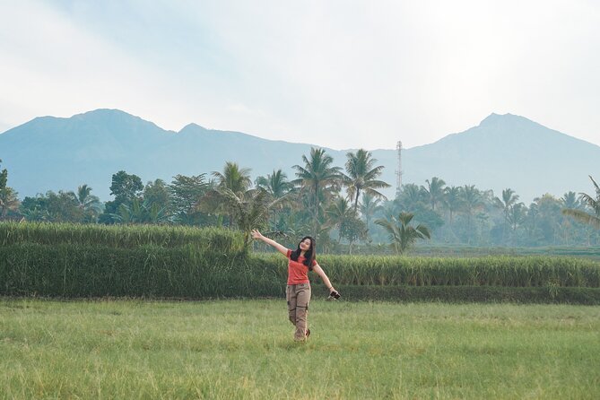 Tete Batu Tour (Culture, Rice Terraces and Waterfalls) - Who should book this Tetebatu day trip?
