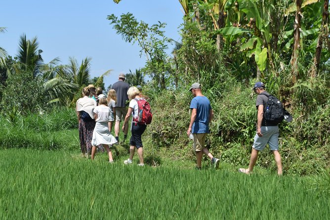 Tetebatu Walking Tour - Rice Terraces, Waterfall & Monkey Forest - Lunch at a local warung