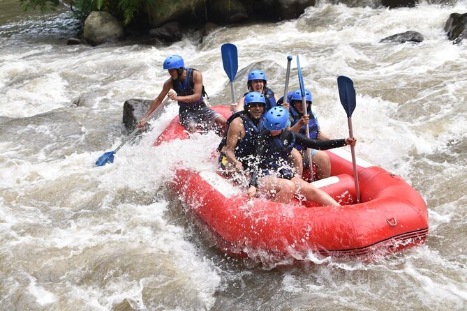 The Best Ayung River Rafting Adventure in Ubud - Who should choose this Ayung rafting trip?