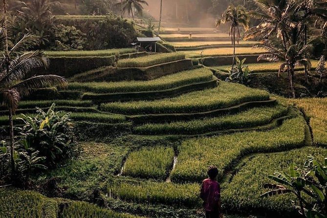 The Gates of Heavan - Ubud Jungle Swing & Waterfall Tour - Uma Pakel and the Ubud jungle swing