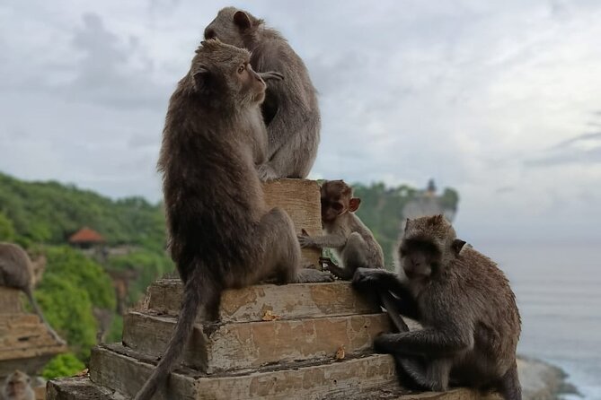 The Uluwatu Tour - The Kecak and Fire Dance at the Right Moment