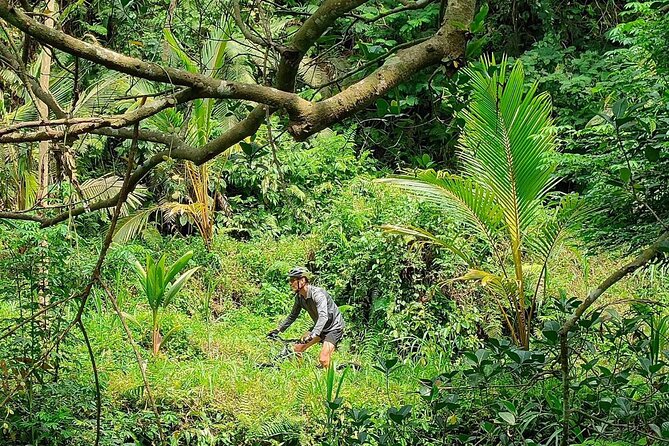 The Volcano Trail – Epic Volcano Cycling Adventure - Rice Paddies, Villages, and the More Relaxed Finish
