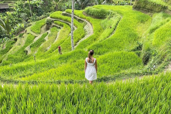 Tirta Empul temple, Jungle Swing and Waterfalls - Private Tour - What the $24.65 price really covers