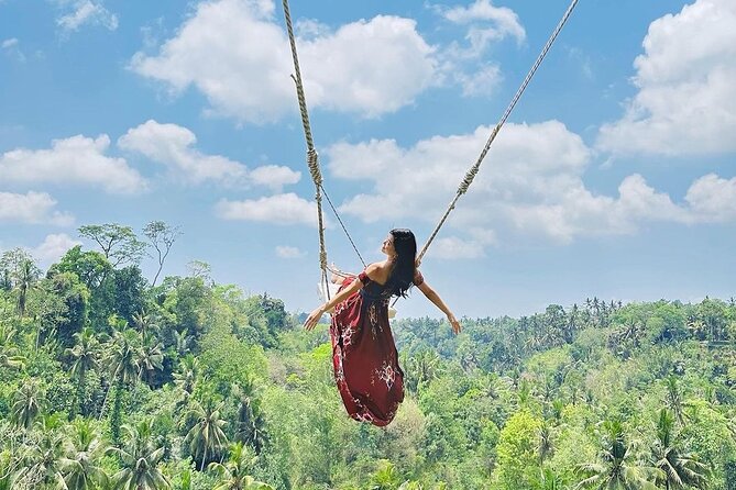 Tirta Empul temple, Jungle Swing and Waterfalls - Private Tour - Tirta Empul: treat the holy spring as a living temple