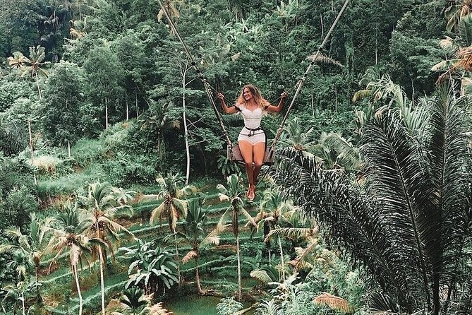 Tlaga Singha Infinity Pool, Jungle swing & Rice Terrace Trip - What the $59.80 price really covers