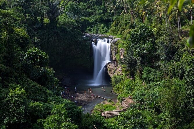 Top Ubud Attractions: Private Full-Day Guided Tour - Ubud Art Market: browse without losing the day