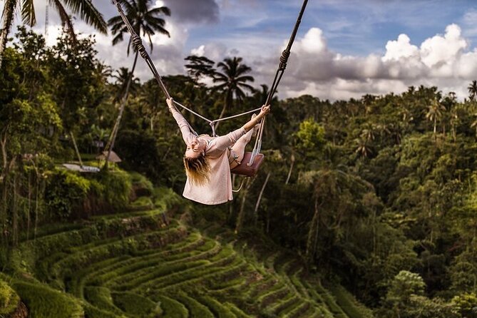 Top Ubud Attractions: Private Full-Day Guided Tour - Mas Village and the art of wood carving