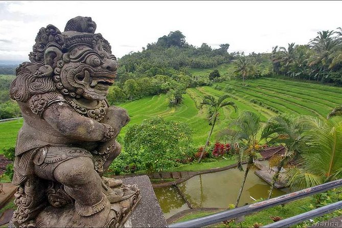 Tour: Besakih Temple-Kintamani Volcano-Water temple&Rice Terrace - Tegalalang Rice Terrace and the famous Bali view