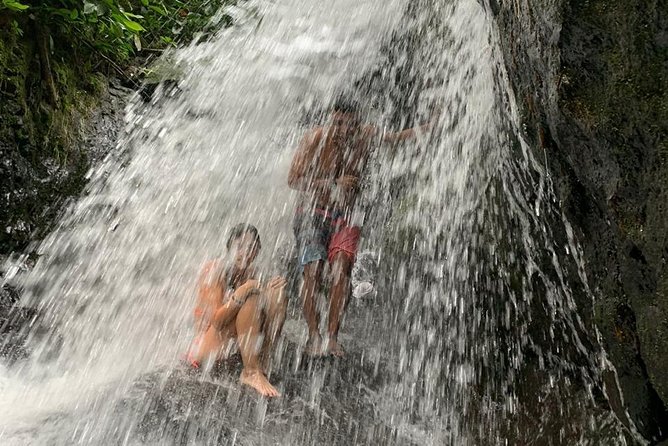 TOUR PACKAGE (jungle trekking, taxi, Room) 4 DAYS 3 NIGHTS in BUKIT LAWANG - Is $302.02 good value?