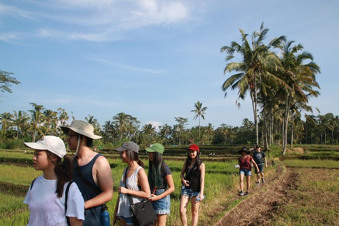 Trekking and Sightseeing tour with lunch - Four Hours Around Taro’s Bamboo Paths
