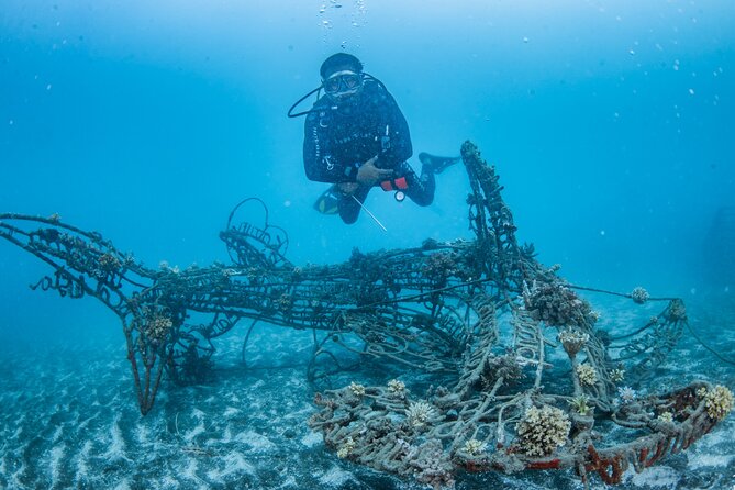 Try Dive Program in the Biorock Pemuteran - Key points at a glance