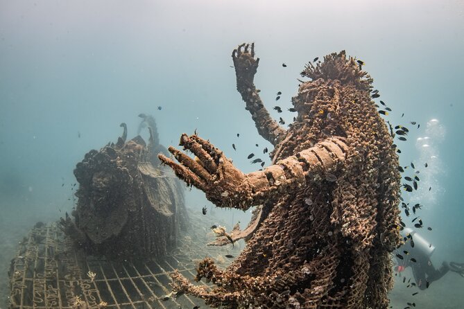 Try Dive Program in the Biorock Pemuteran - What happens after the sea session