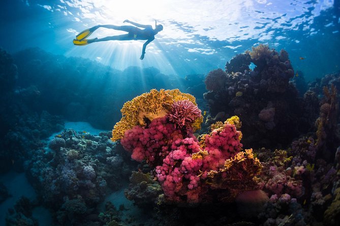 Try Freediving on Nusa Penida - From classroom to the home reef