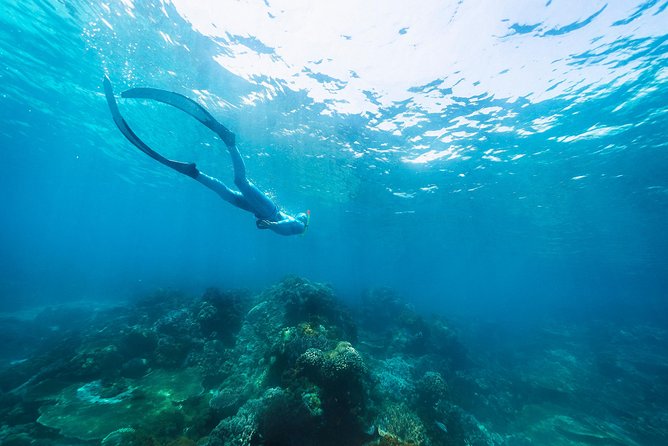 Try Freediving on Nusa Penida - Why four people is the right group size