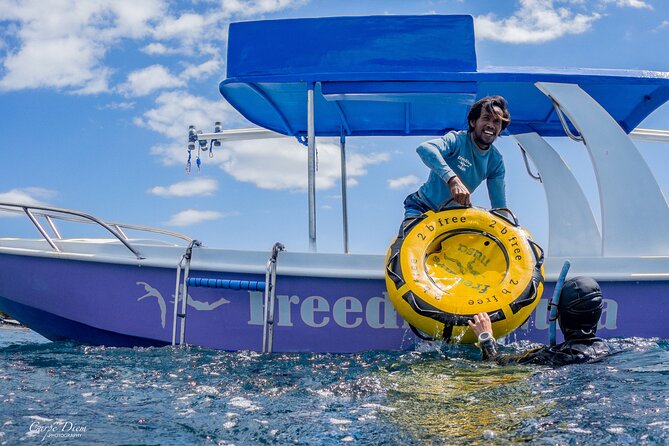 Try Freediving on Nusa Penida - Timing, meeting point, and getting there
