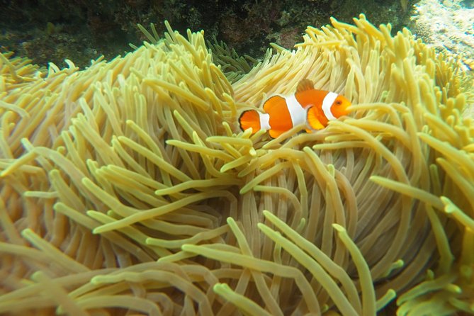 Try Scuba Diving at Padang Bai - Lunch, showers, and the useful comforts