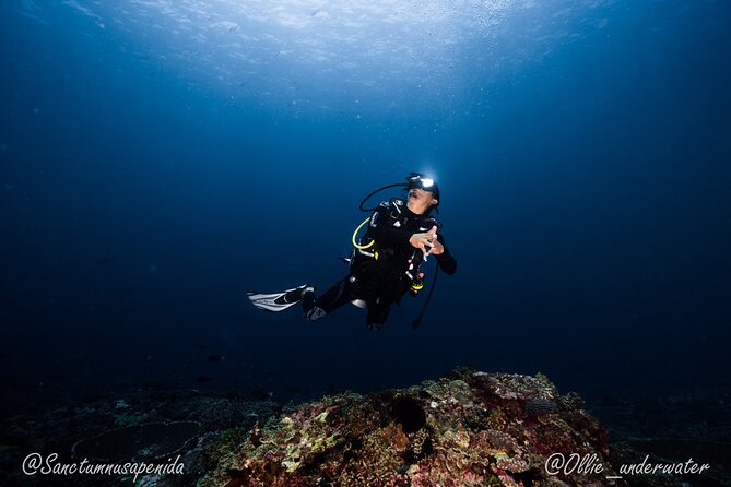Try Scuba Diving for Beginners with manta rays (Non - Certified) - Timing and the rhythm of the day