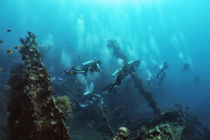 Tulamben Diving Tour Shipwreck USS Bali - Why the Liberty wreck makes a good first underwater site