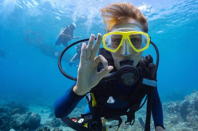 Tulamben Diving Tour Shipwreck USS Bali - Is $102.57 good value?
