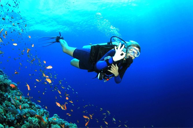 Tulamben Diving Tour Shipwreck USS Bali - Who should book this experience?
