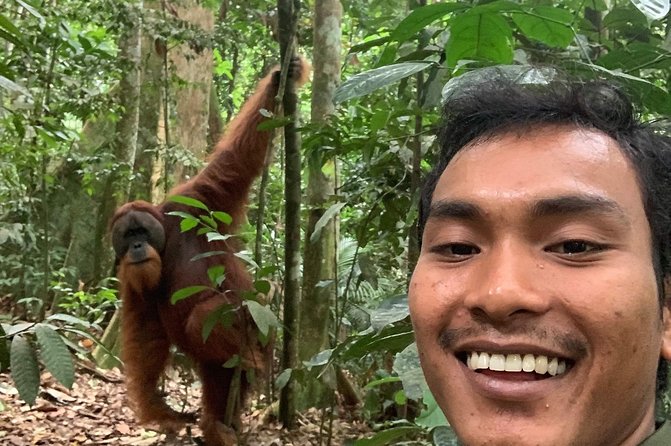 Two days orangutans adventure in Gunung Leuser - Choosing the mountain route or easier trail