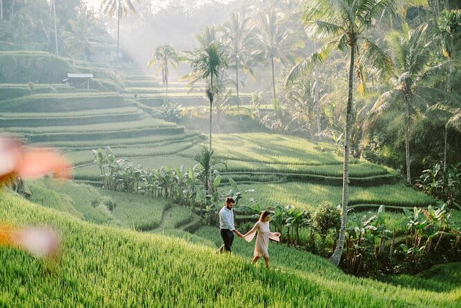 Ubud 1 Day Tour (Private & All-Inclusive) - Private transport changes how the day feels