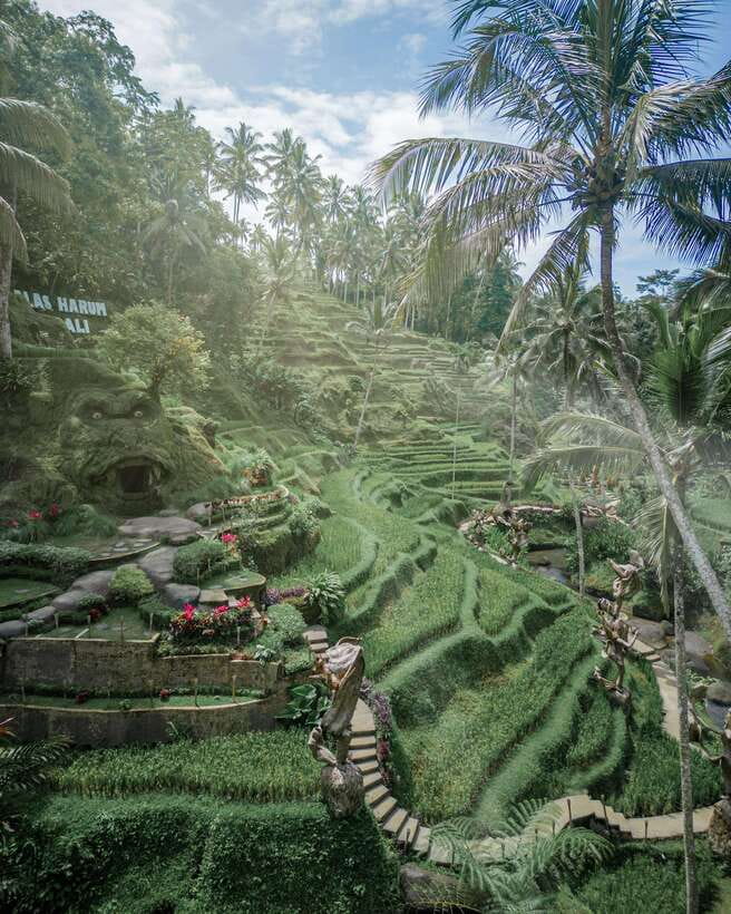 Ubud: Alas Harum Day-Pass, Swing, Sky Bike & Flying Fox - What the $4.31 Day Pass Really Buys