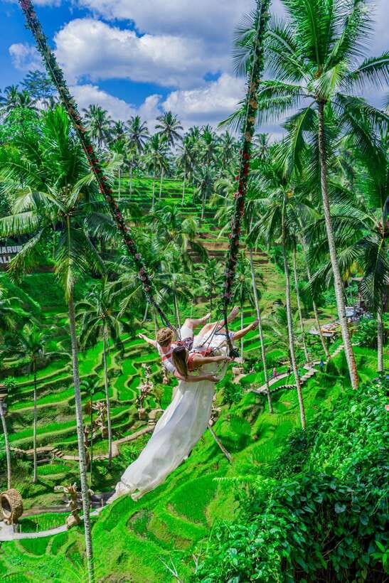 Ubud: Alas Harum Day-Pass, Swing, Sky Bike & Flying Fox - Coffee, Agriculture, and a More Grounded Break