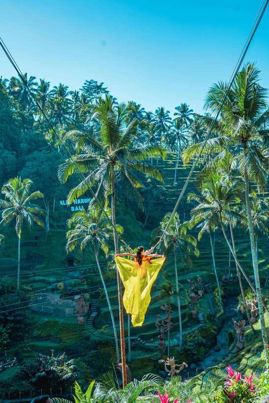 Ubud: Alas Harum Day-Pass, Swing, Sky Bike & Flying Fox - Who Will Enjoy Alas Harum Most
