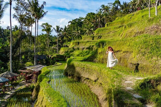 Ubud All-Inclusive Tour with Swing and Lunch - The day at a glance