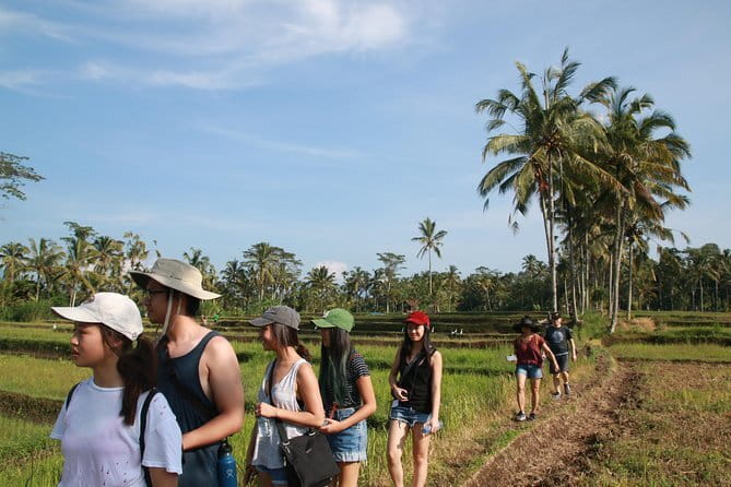 Ubud All-Inclusive Tour with Swing and Lunch - Tirta Empul and Balinese purification customs