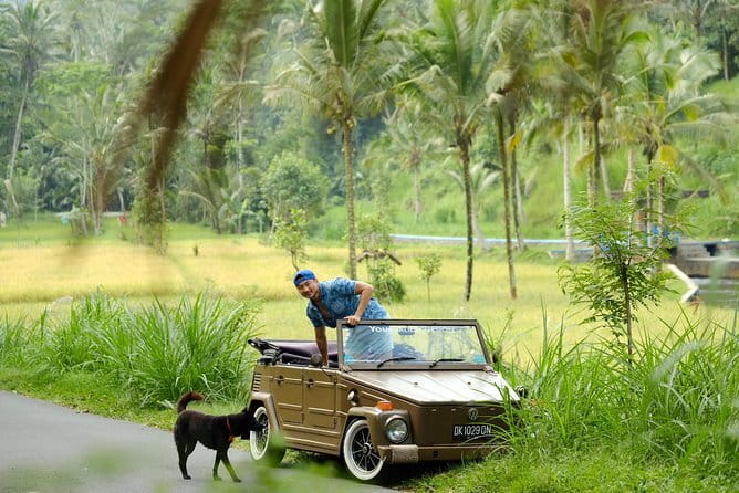 Ubud All-Inclusive Tour with Swing and Lunch - The Ubud Jungle Swing and photo time