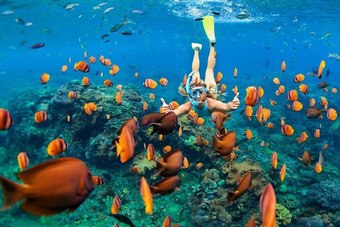 Ubud ATV Quad Bike and Snorkeling at Blue Lagoon Beach - Who should book this experience?