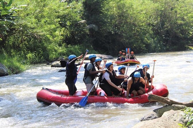 Ubud ATV Quad Bike with Ayung River Rafting Experience - ATV riding through rice fields, tunnels, and waterfalls