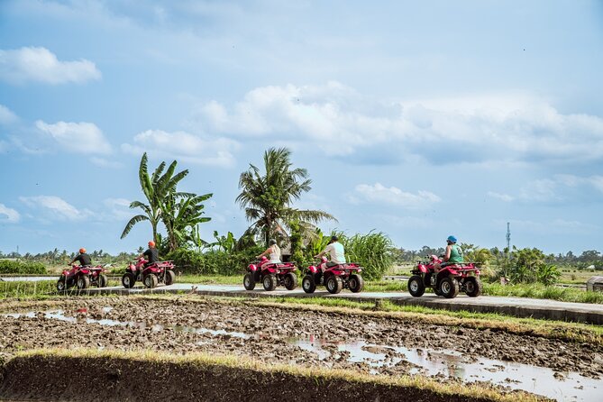 Ubud ATV Quad Bike with Infinity Pool Access All Inclusive - Why the Ubud setting works so well for quad biking