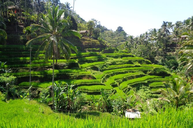 Ubud ATV ride Adventure and water rafting - Pickup, meeting point, and the cost of convenience