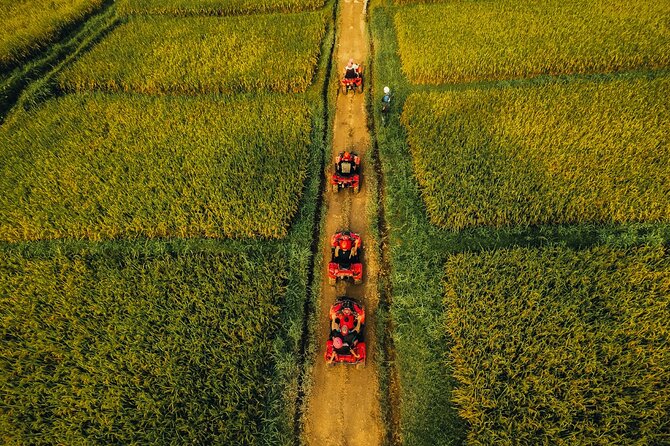 Ubud ATV Ride through River Jungle Rice Fields Puddles - Rice fields, rivers and the changing scenery