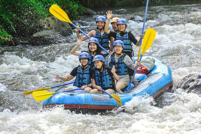 Ubud Ayung Water Rafting included Lunch and Transfer - Is $19.40 a good value?