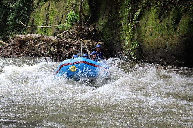 Ubud Ayung Water Rafting included Lunch and Transfer - Who should choose this Ubud rafting trip?