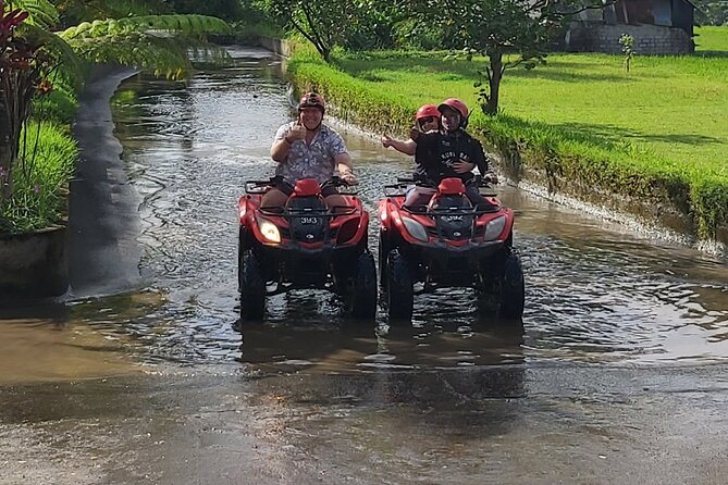 Ubud Bali Driver - Private Driver in Ubud - Price, extra costs, and overall value