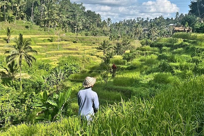 Ubud Bali Driver - Private Driver in Ubud - Kanto Lampo Waterfall, a quick first stop